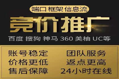 专业sem托管服务案例，揭秘广告投放优化策略